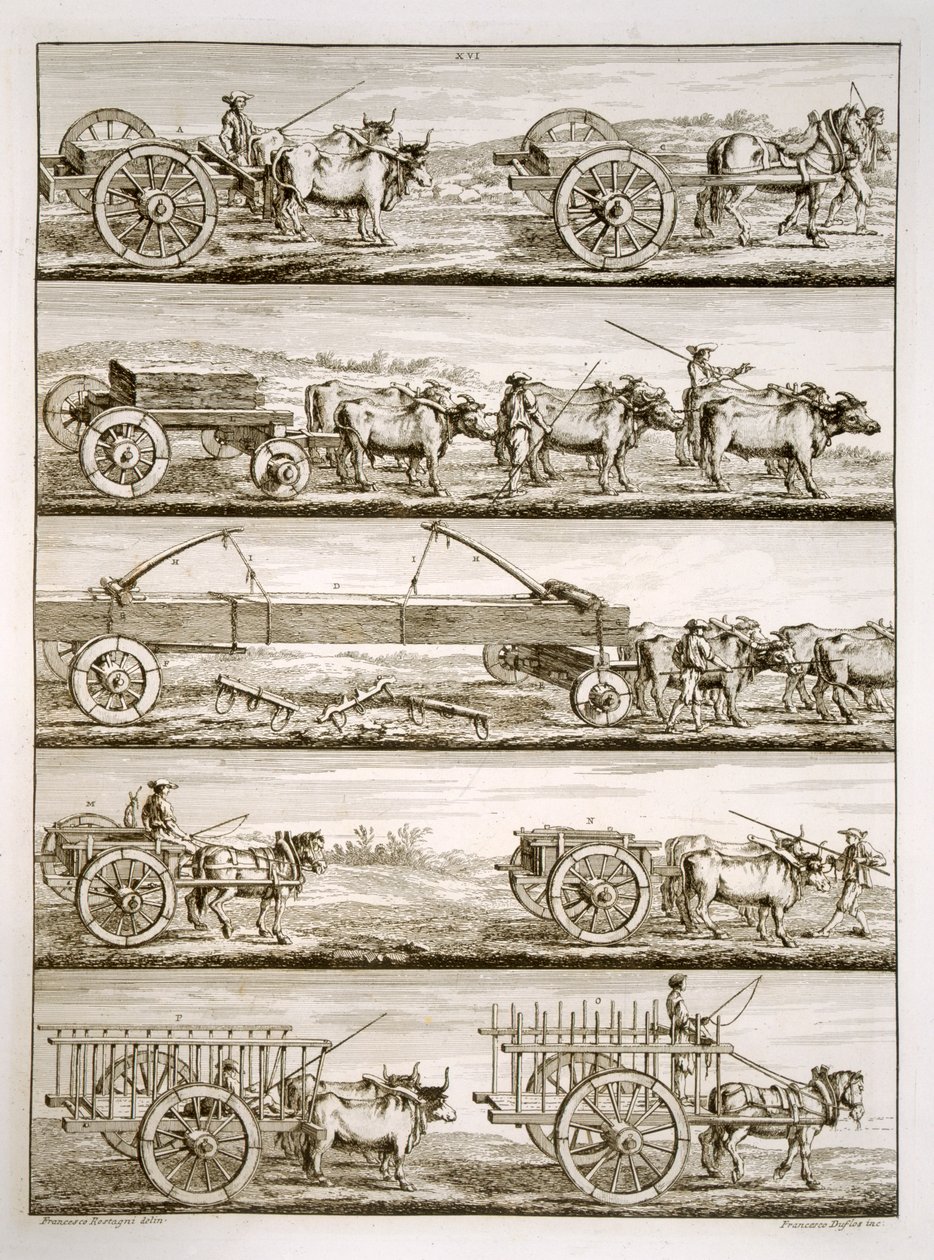 Vari carri da Francesco Rostagni