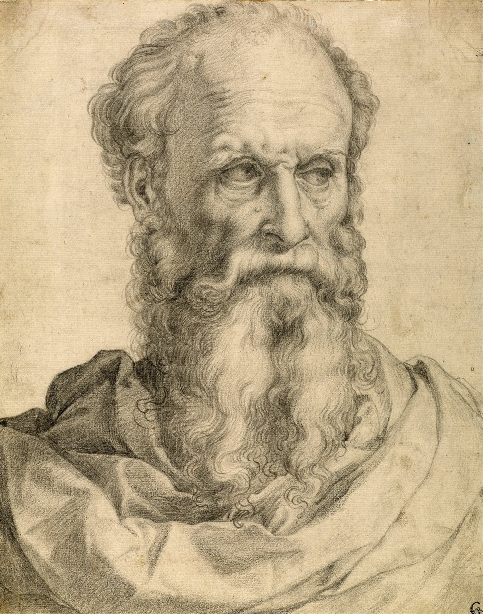 Testa e spalle di un uomo barbuto da Francesco de Rossi Salviati Cecchino