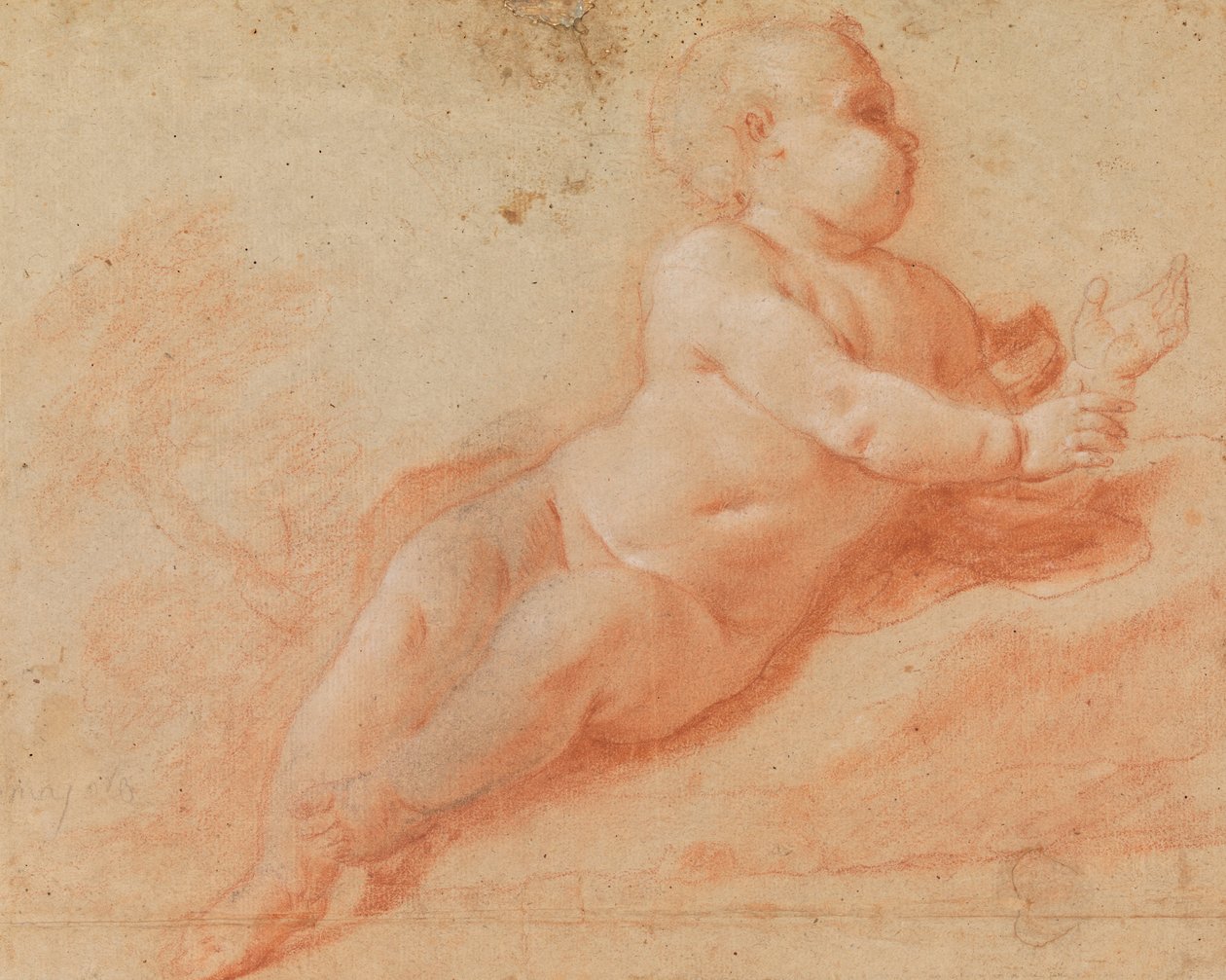 Studio di un bambino nudo da Francesco Saverio Mergolo