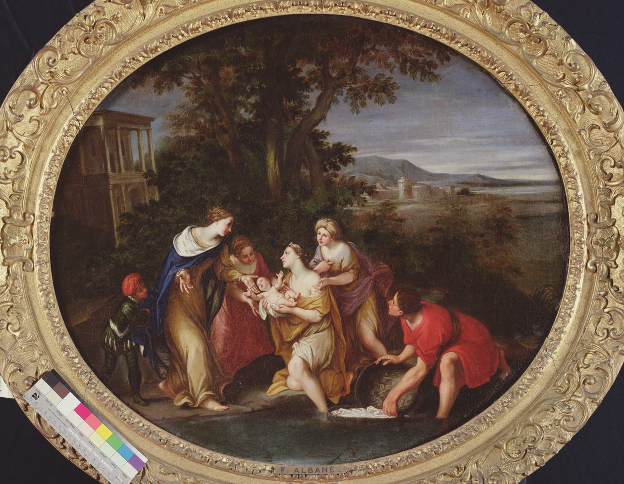 Mosè salvato dalle acque da Francesco Albani