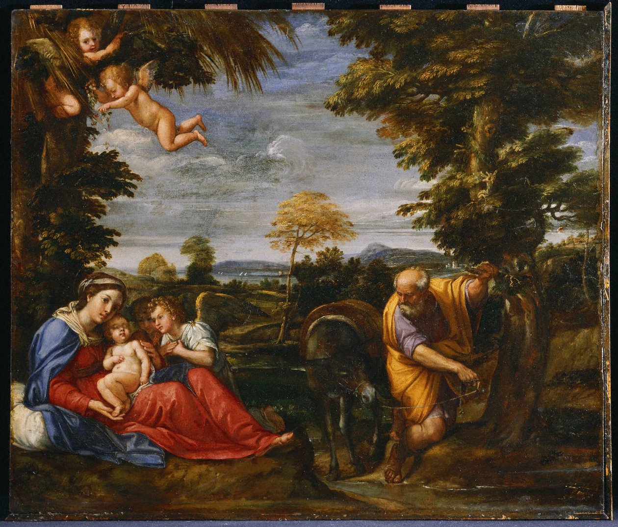 Il riposo durante la fuga in Egitto da Francesco Albani