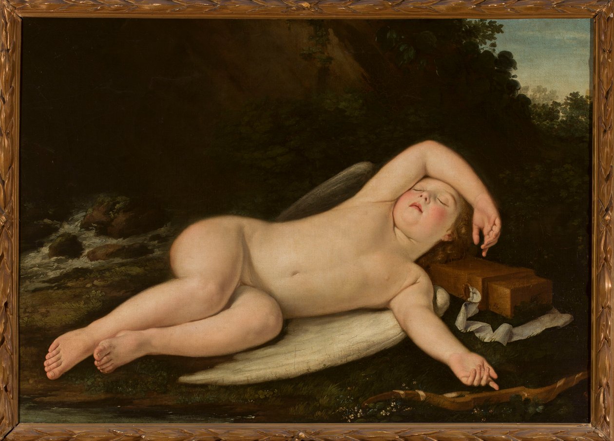 Amore dormiente da Francesco Albani