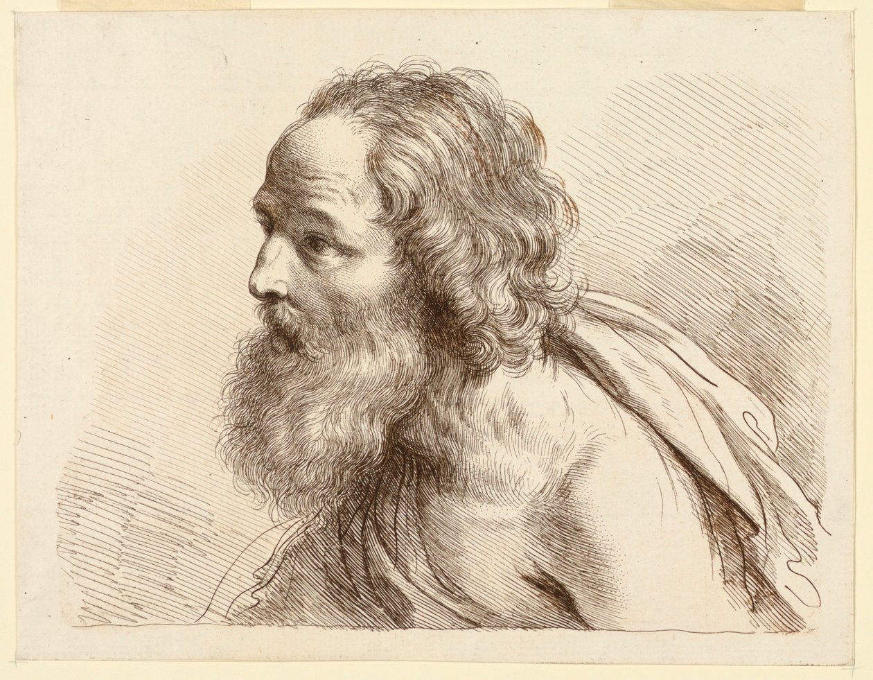 Ritratto di un vecchio con la barba, con spalle nude da Francesco Bartolozzi