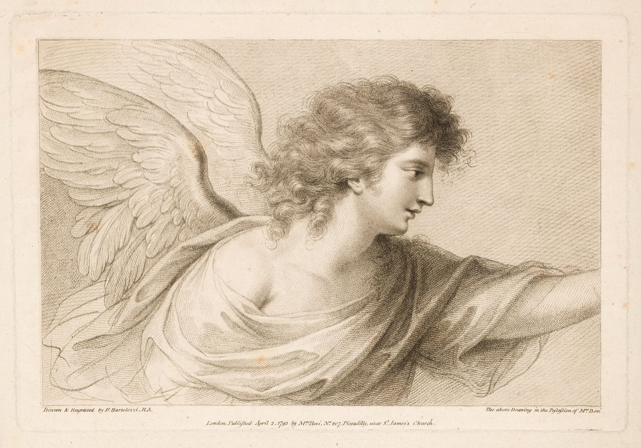Senza titolo da Francesco Bartolozzi