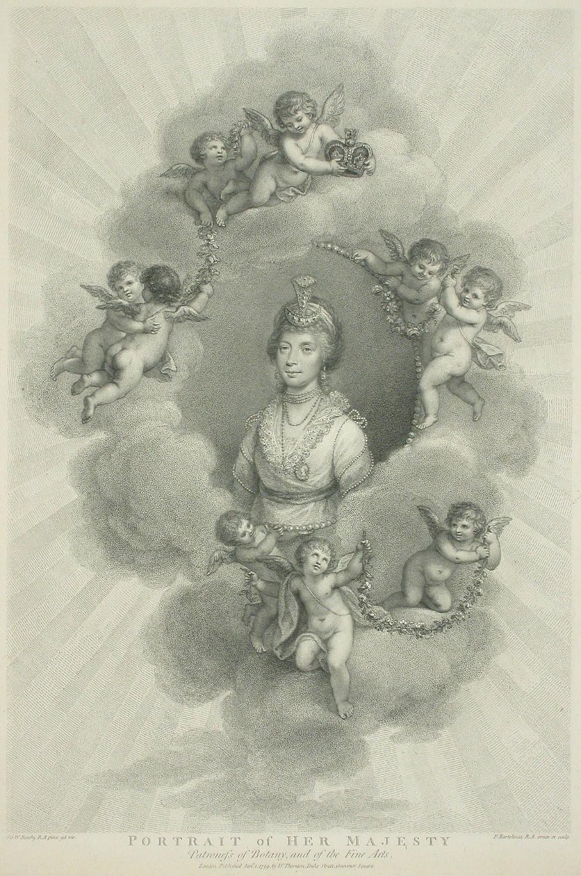 Senza titolo da Francesco Bartolozzi