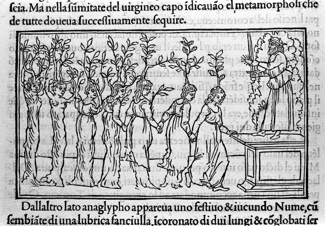 Incisione in "Hypnerotomachia Polyphili" (il sogno di Polifilo) del monaco domenicano Francesco Colonna, Venezia da Francesco Colonna