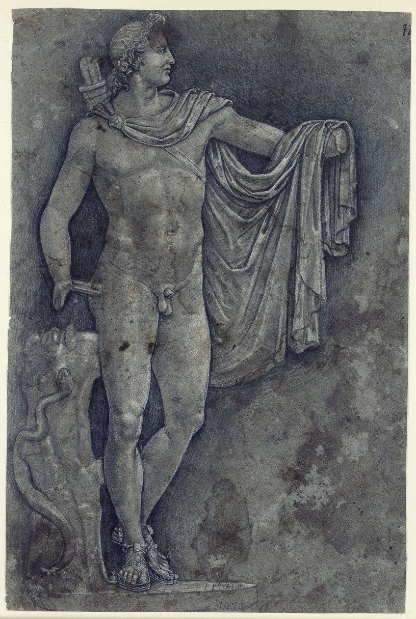 Apollo del Belvedere da Francesco Francia