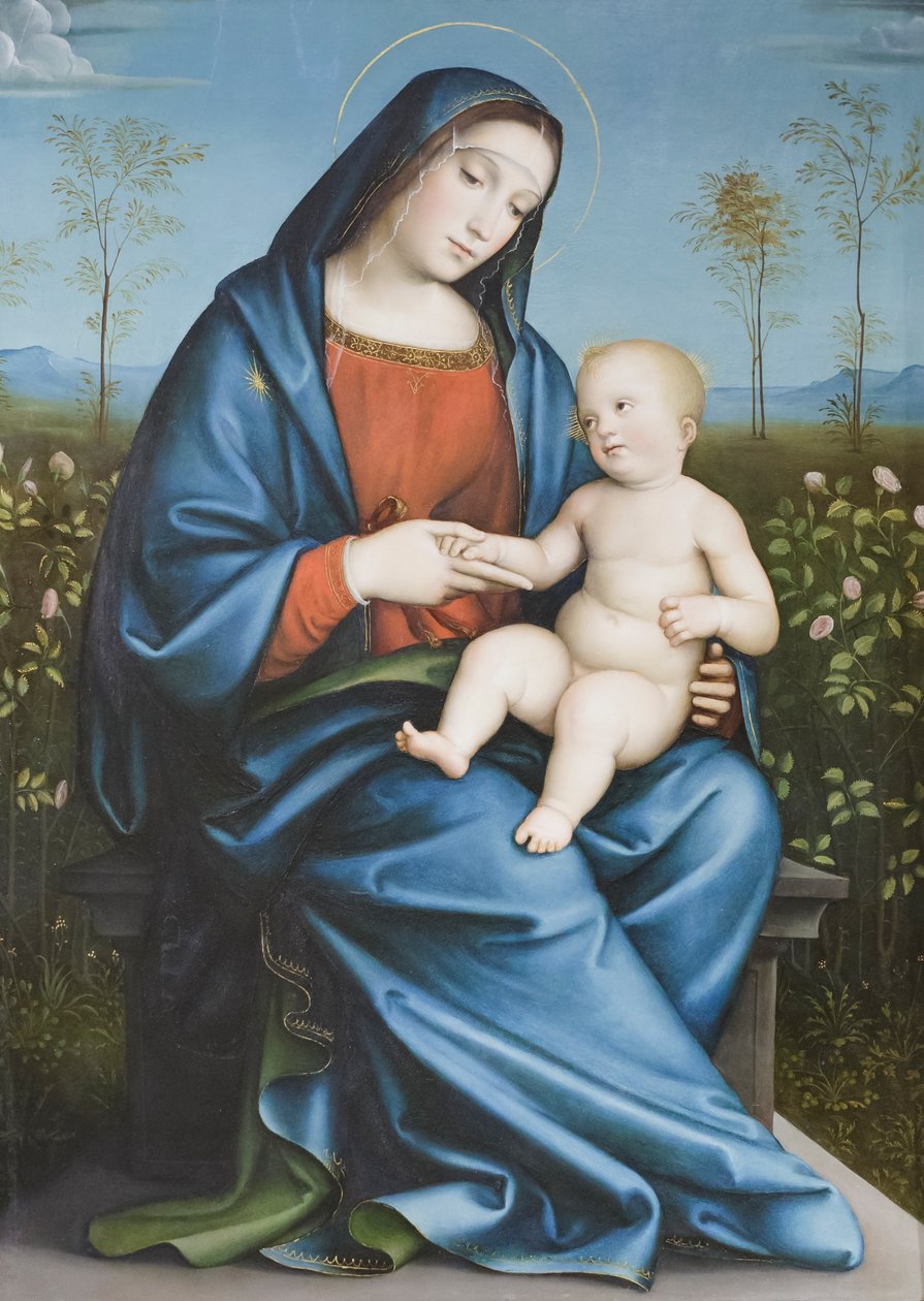 Madonna col Bambino nel giardino delle rose, Raibolini Francesco detto Francesco Francia da Francesco Francia