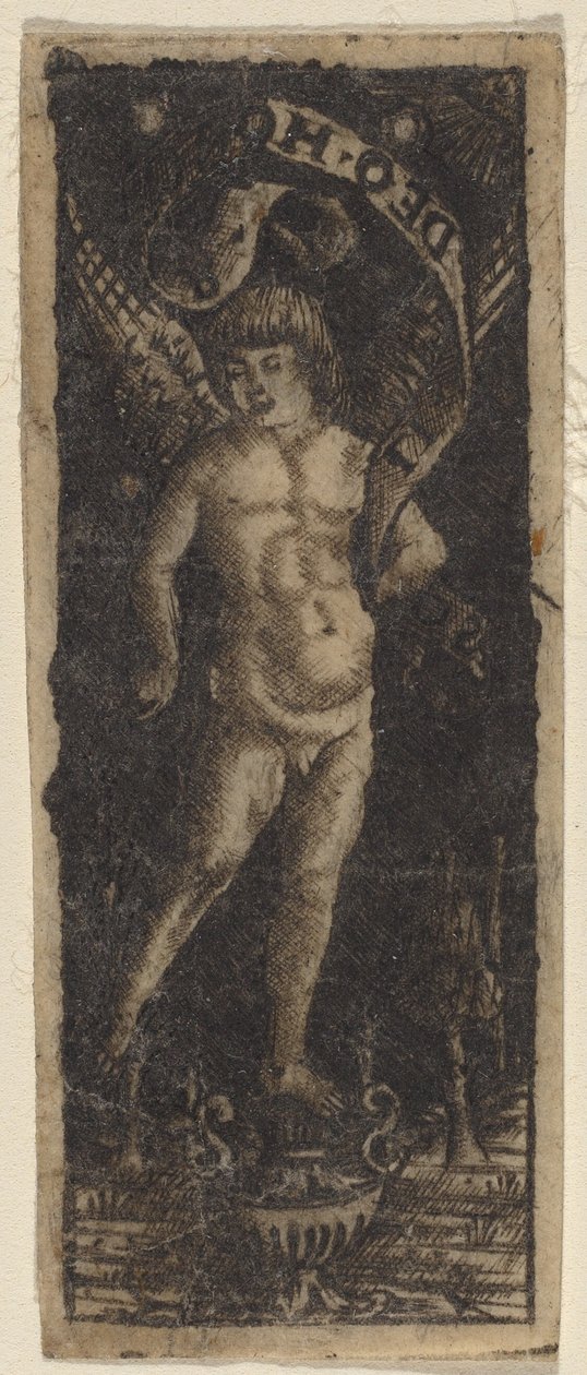 Cherubino su un vaso con iscrizione: "SOLI DEO HONOR" da Francesco Francia or Peregrino da Cesena