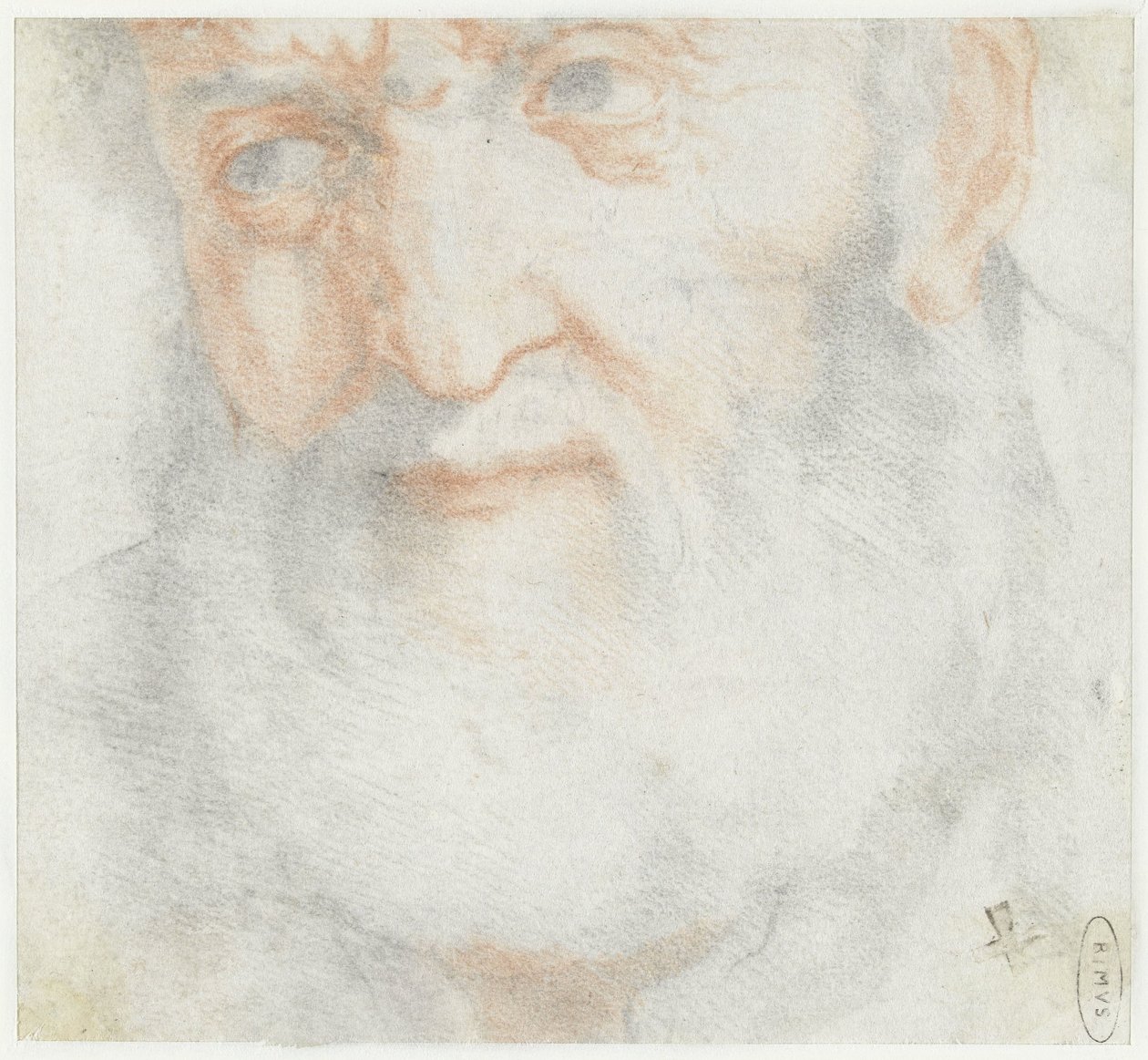 Testa di un vecchio con barba da Francesco Furini (attributed to)