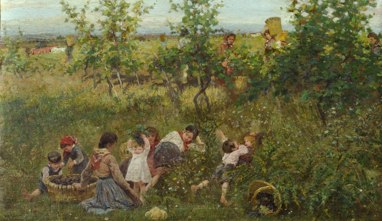 La vendemmia da Francesco Gioli