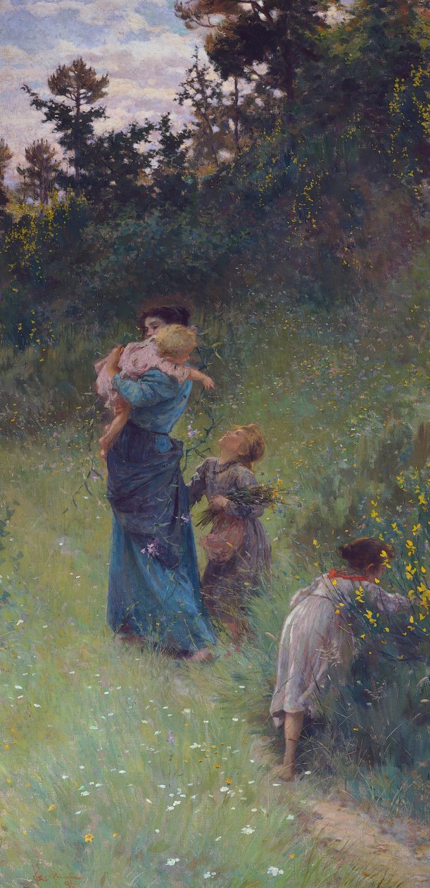 Fiori selvatici da Francesco Gioli