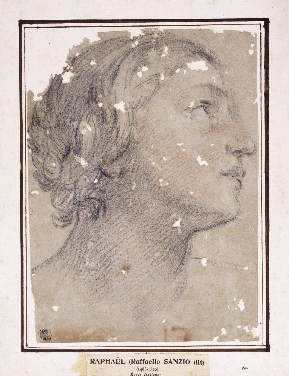 La testa di una donna, di profilo a destra da Francesco Giovanni Gessi