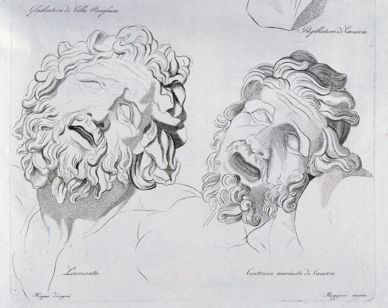 Teste di Laocoonte e Centauro morente di Canova da Francesco Hayez