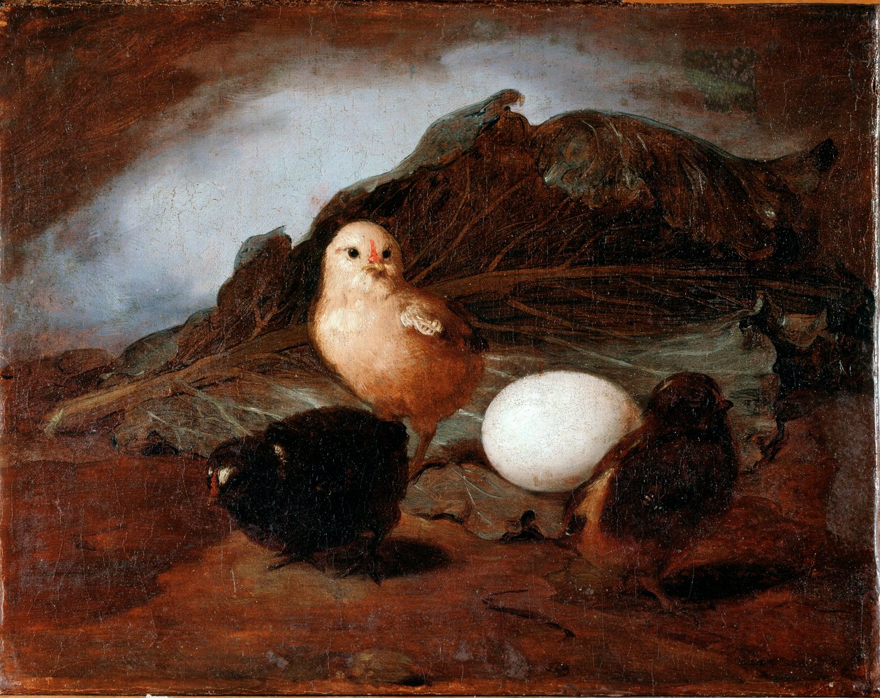 Pulcini da Francesco Inganni
