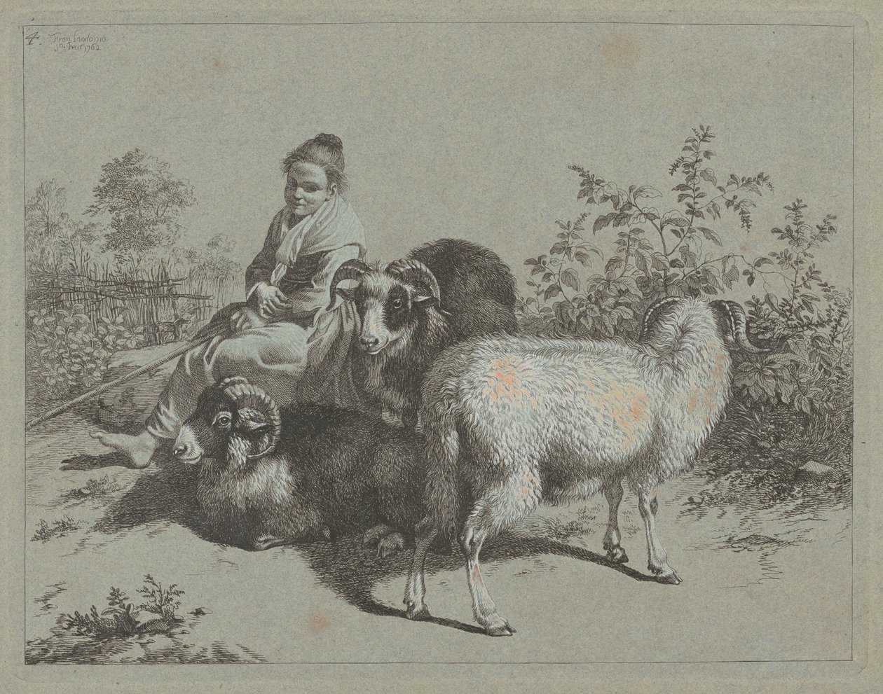 Pastorella Seduta con Tre Arieti, 1762 da Francesco Londonio