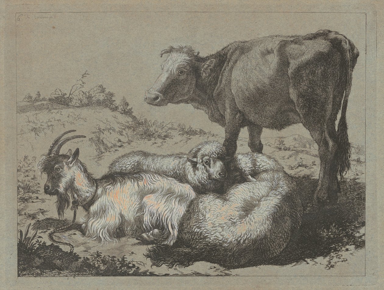 Bue in piedi, due pecore e una capra, c. 1762 da Francesco Londonio