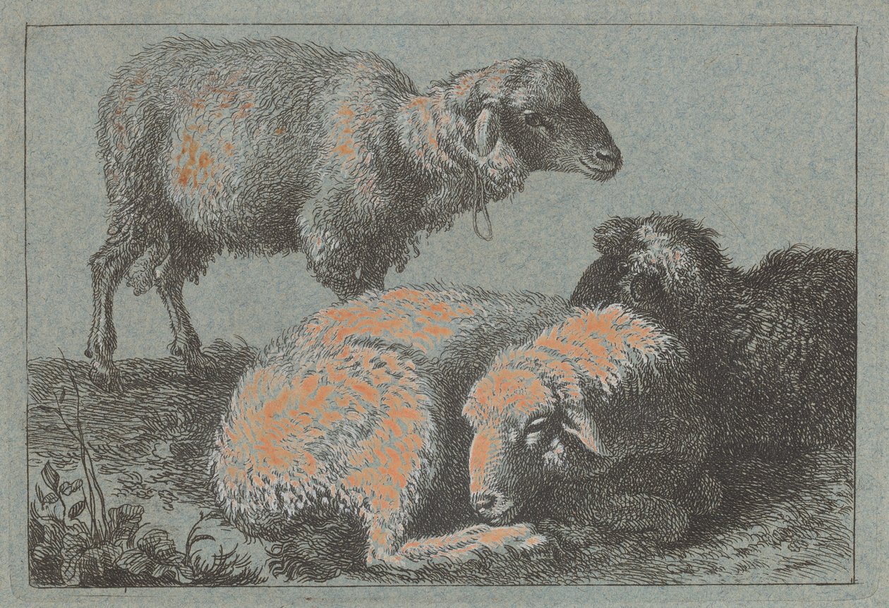 Due pecore sdraiate e una in piedi, 1757-1758 da Francesco Londonio
