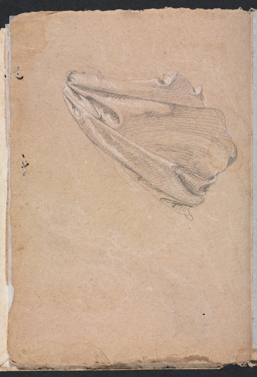 Verona Sketchbook: Studio di drappeggio pagina 6, 1760 da Francesco Lorenzi