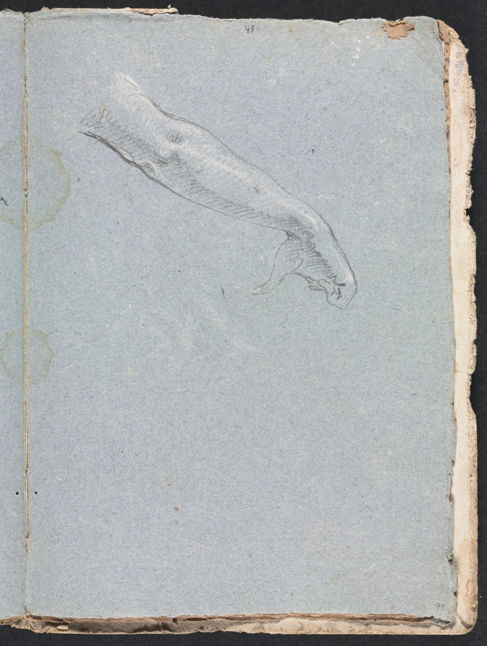 Verona Sketchbook: Braccio destro e mano (pagina 95) da Francesco Lorenzi