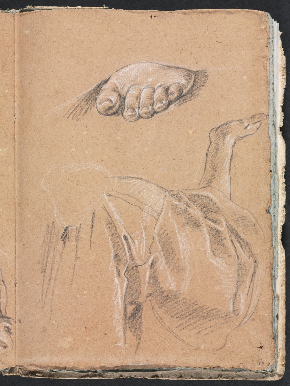 Taccuino di Verona: Studio di un piede sinistro e studio di drappeggio con braccio destro pagina 79, 1760 da Francesco Lorenzi