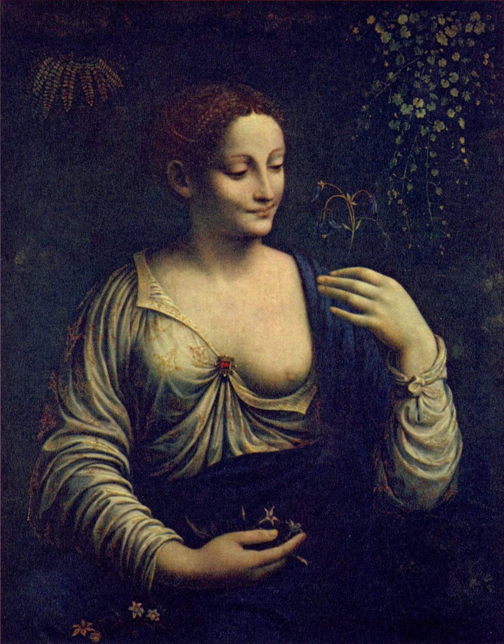 Flora da Francesco Melzi
