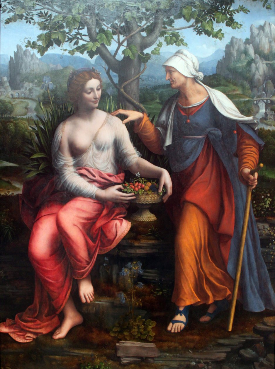 Vertumno e Pomona da Francesco Melzi