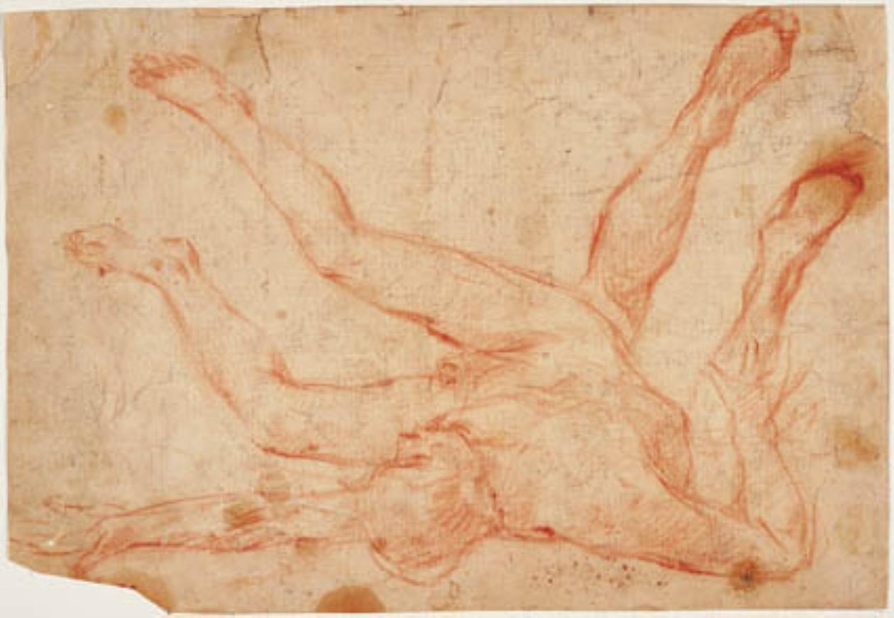 Un nudo maschile sdraiato sulla schiena con le gambe sollevate, e uno studio per un paio di gambe sollevate viste da dietro da Francesco Montelatici