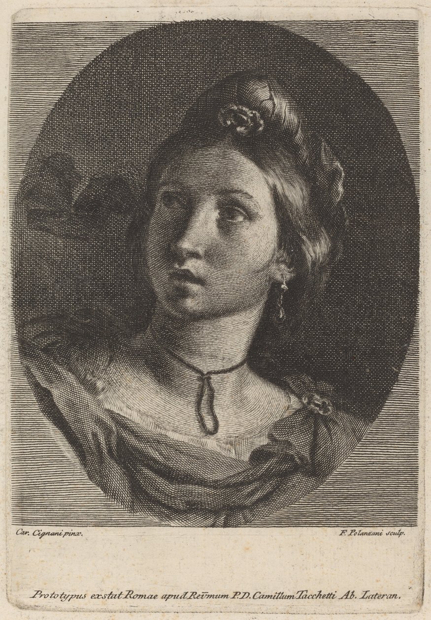 Testa di una giovane donna da Francesco Polanzani after Carlo Cignani