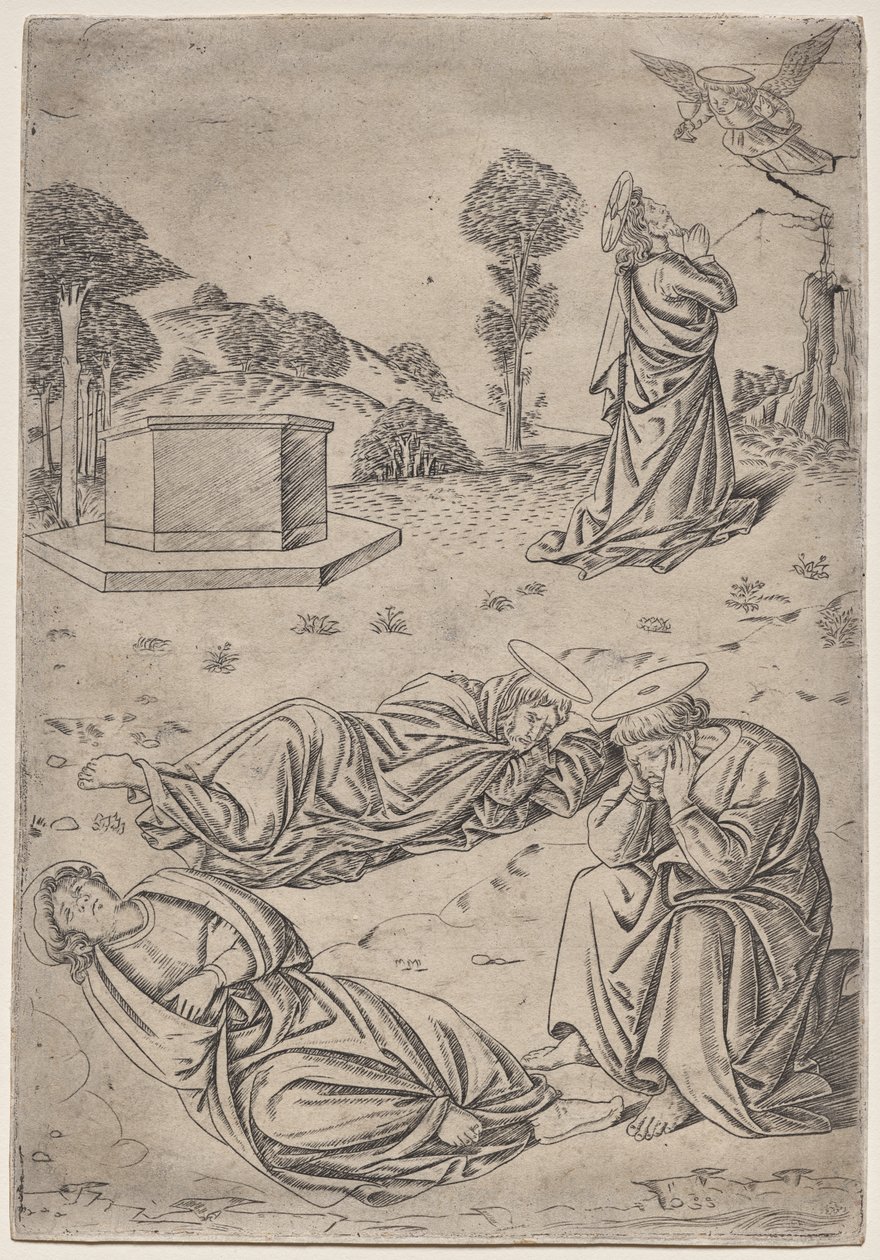 Agonia nel giardino da Francesco Rosselli
