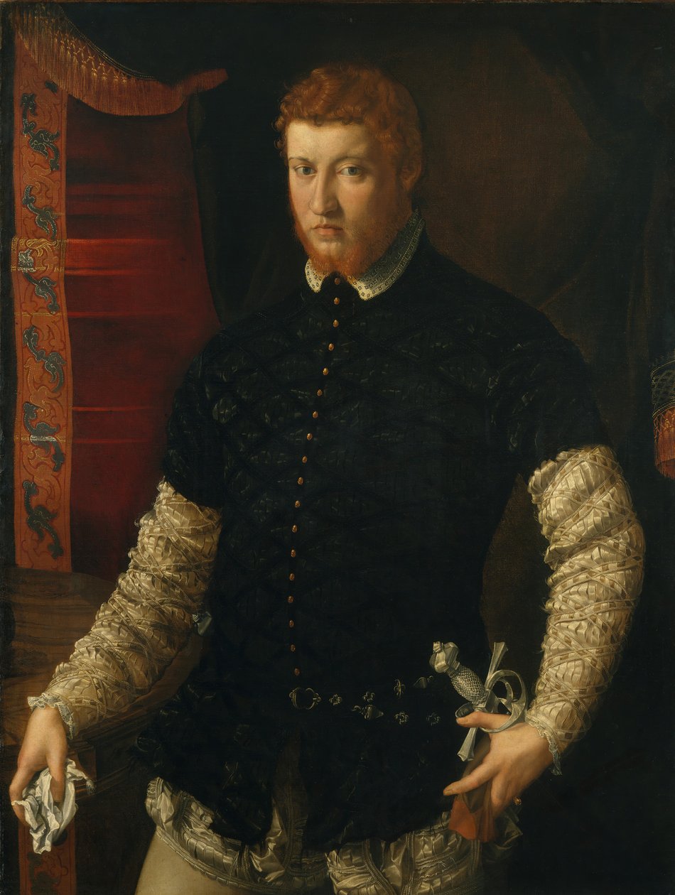 Ritratto di un uomo da Francesco Salviati
