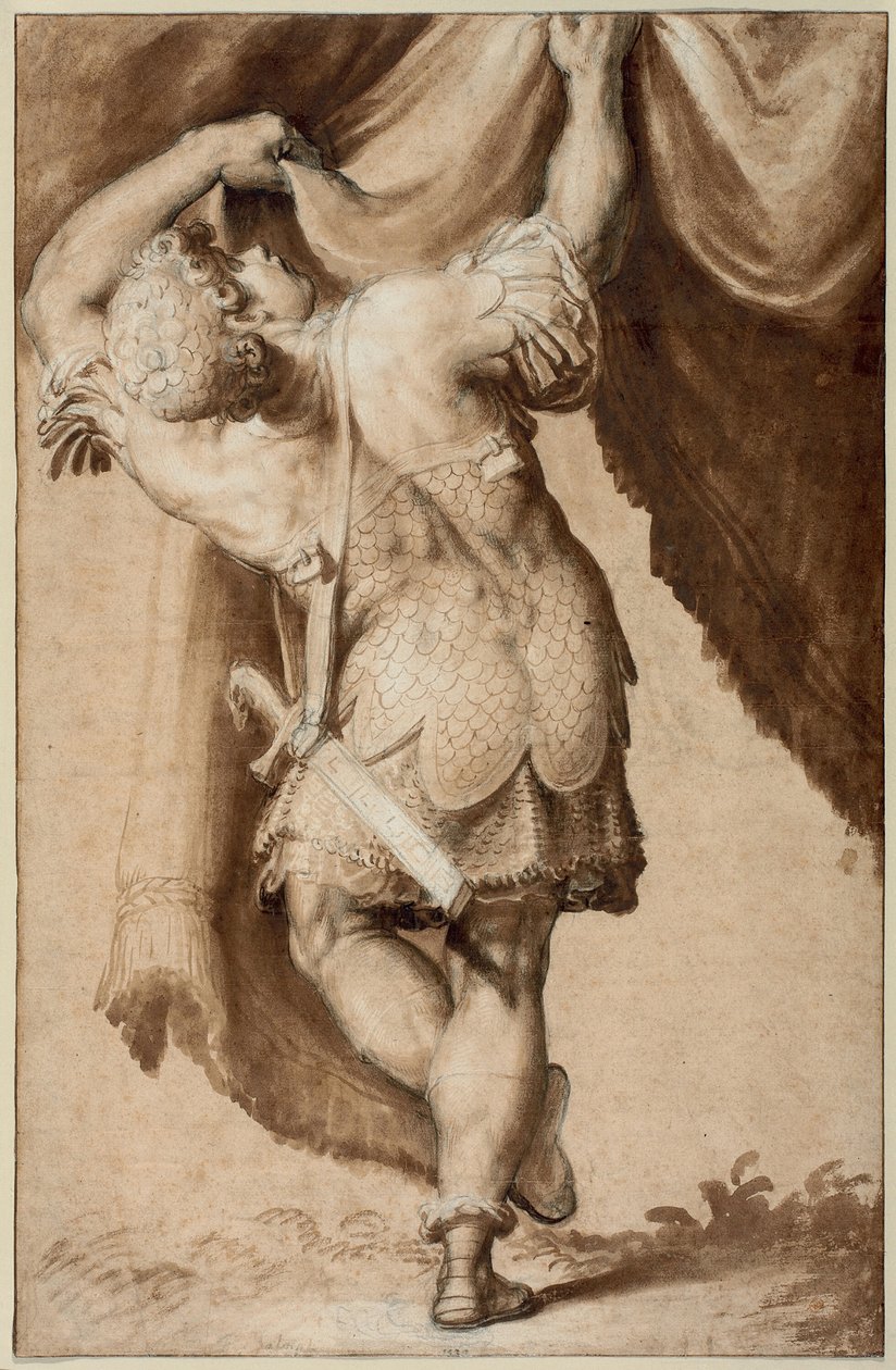 Giovane guerriero, visto da dietro, che solleva un sipario da Francesco Salviati