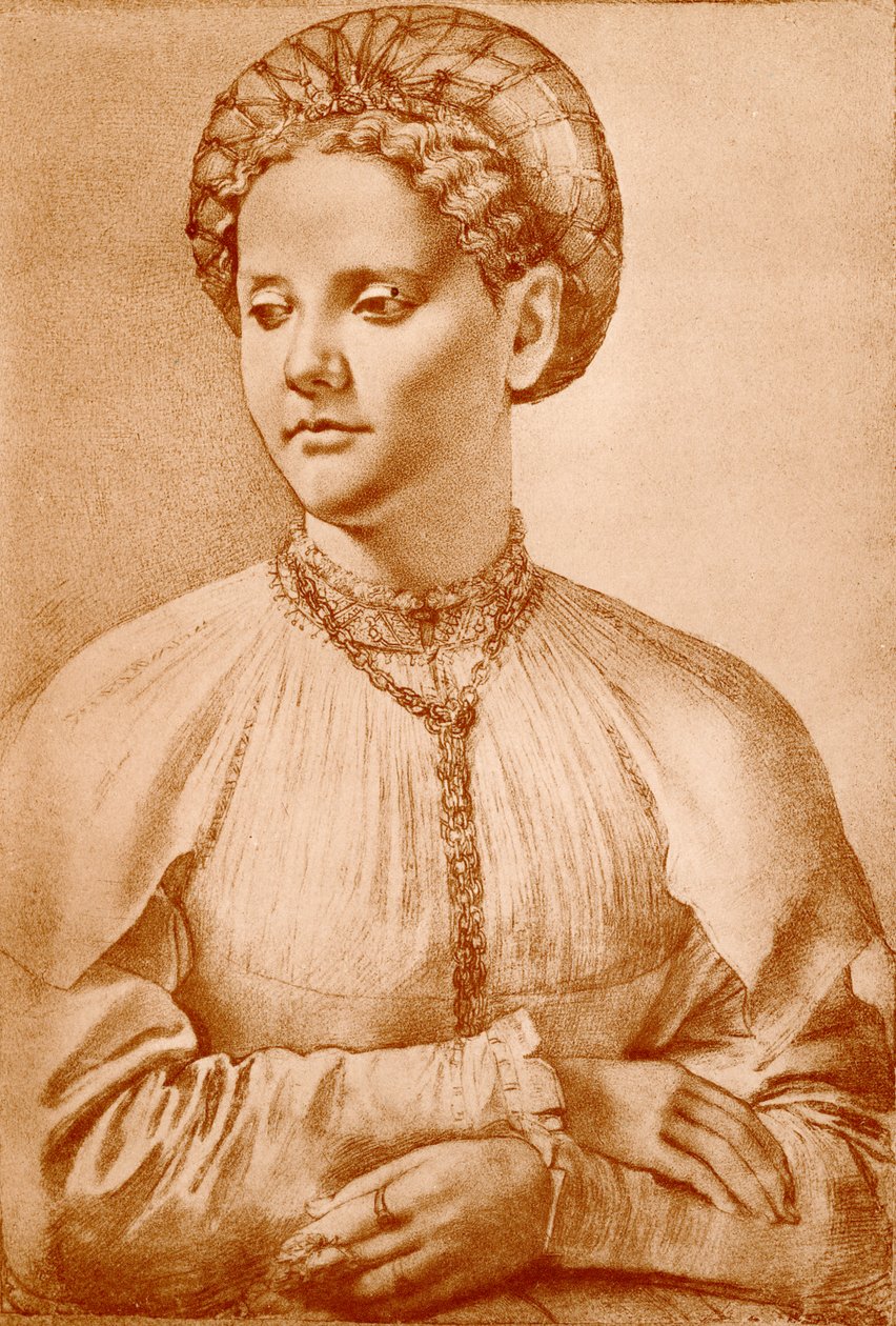 Ritratto femminile da Francesco di Cristofano Franciabigio