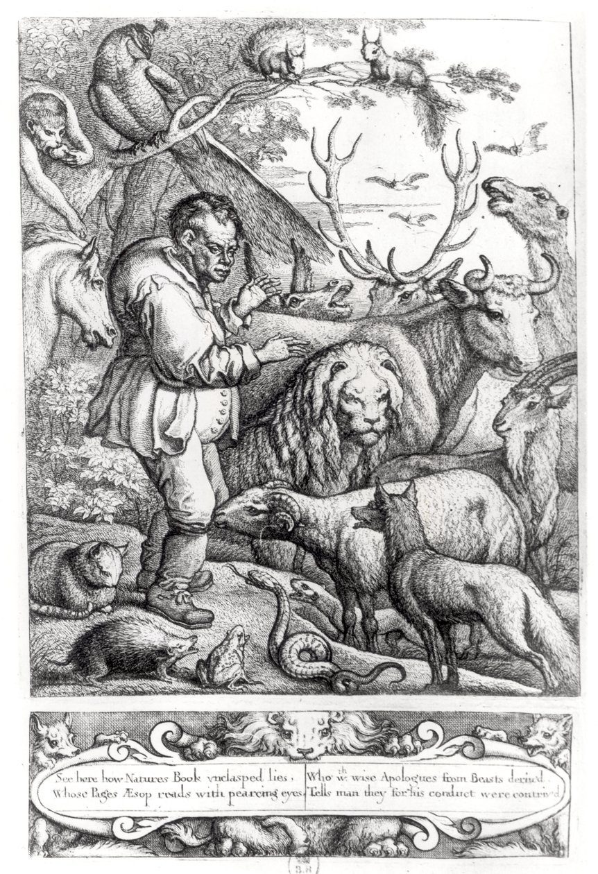 Illustrazione dall