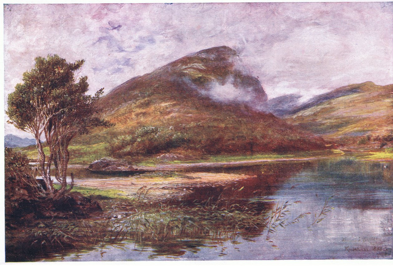 Il nido dell