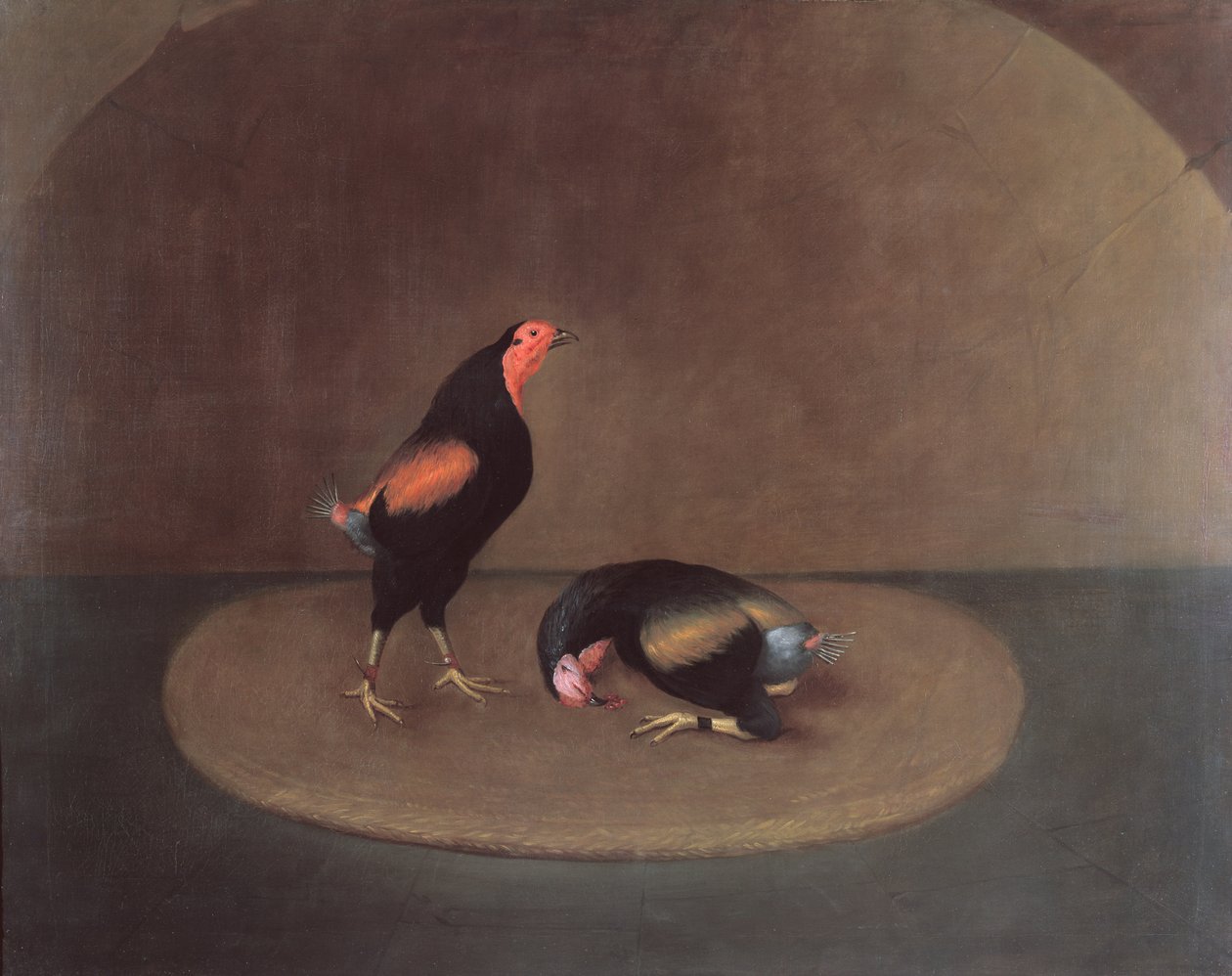 Combattimento di galli da J. Francis Sartorius