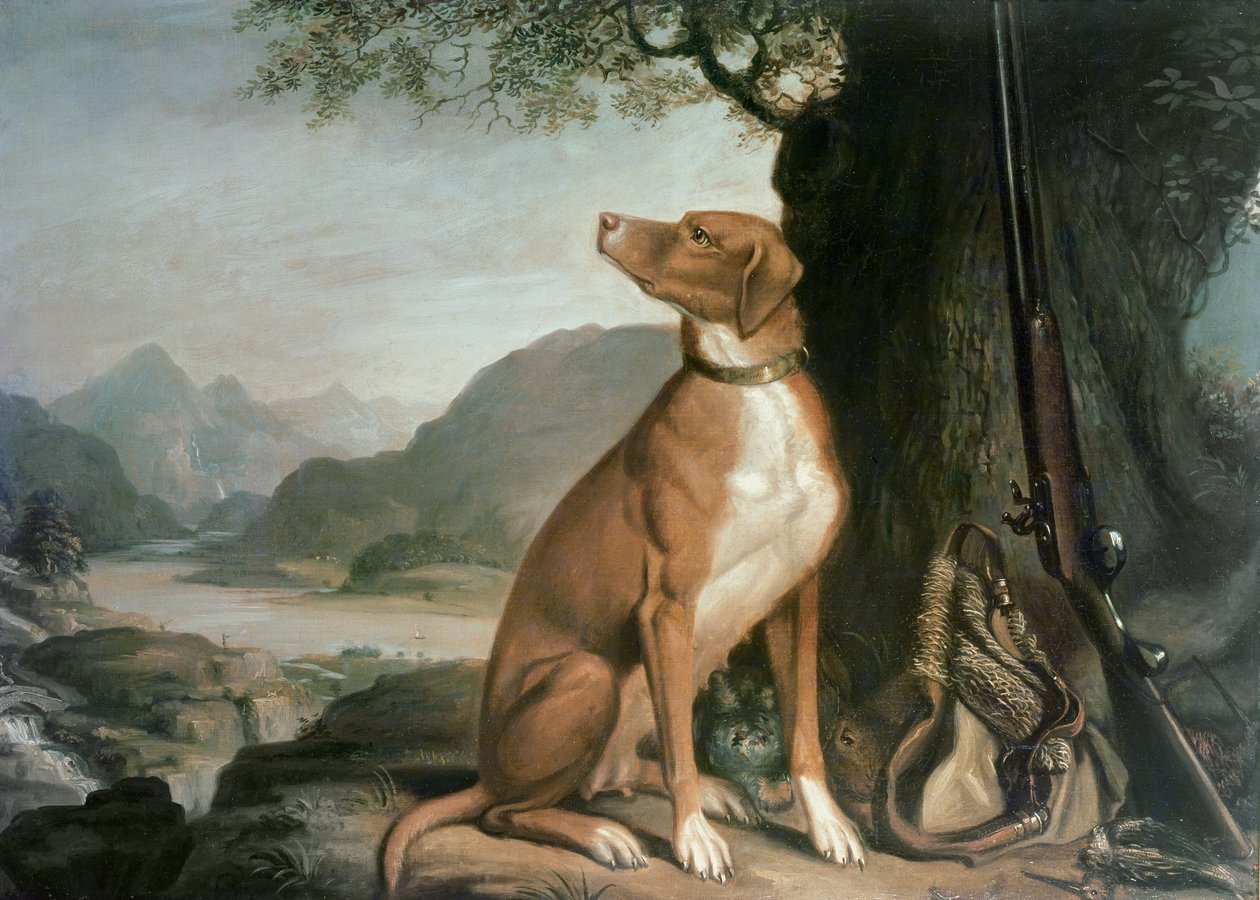 Il cane da caccia preferito di G. M. Johnston in un paesaggio da J. Francis Sartorius