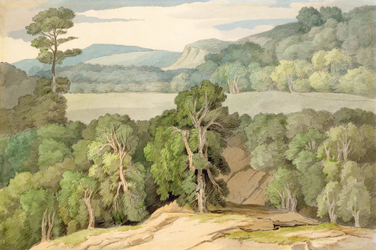 Sul Plym da Francis Towne