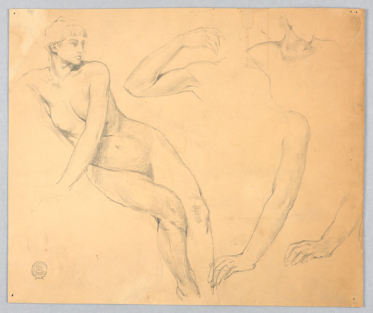 Schizzi di un Nudo Femminile e Braccia da Francis Augustus Lathrop