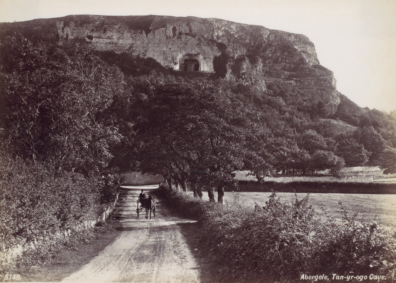 Abergele, Grotta di Tan-yr-ogo da Francis Bedford