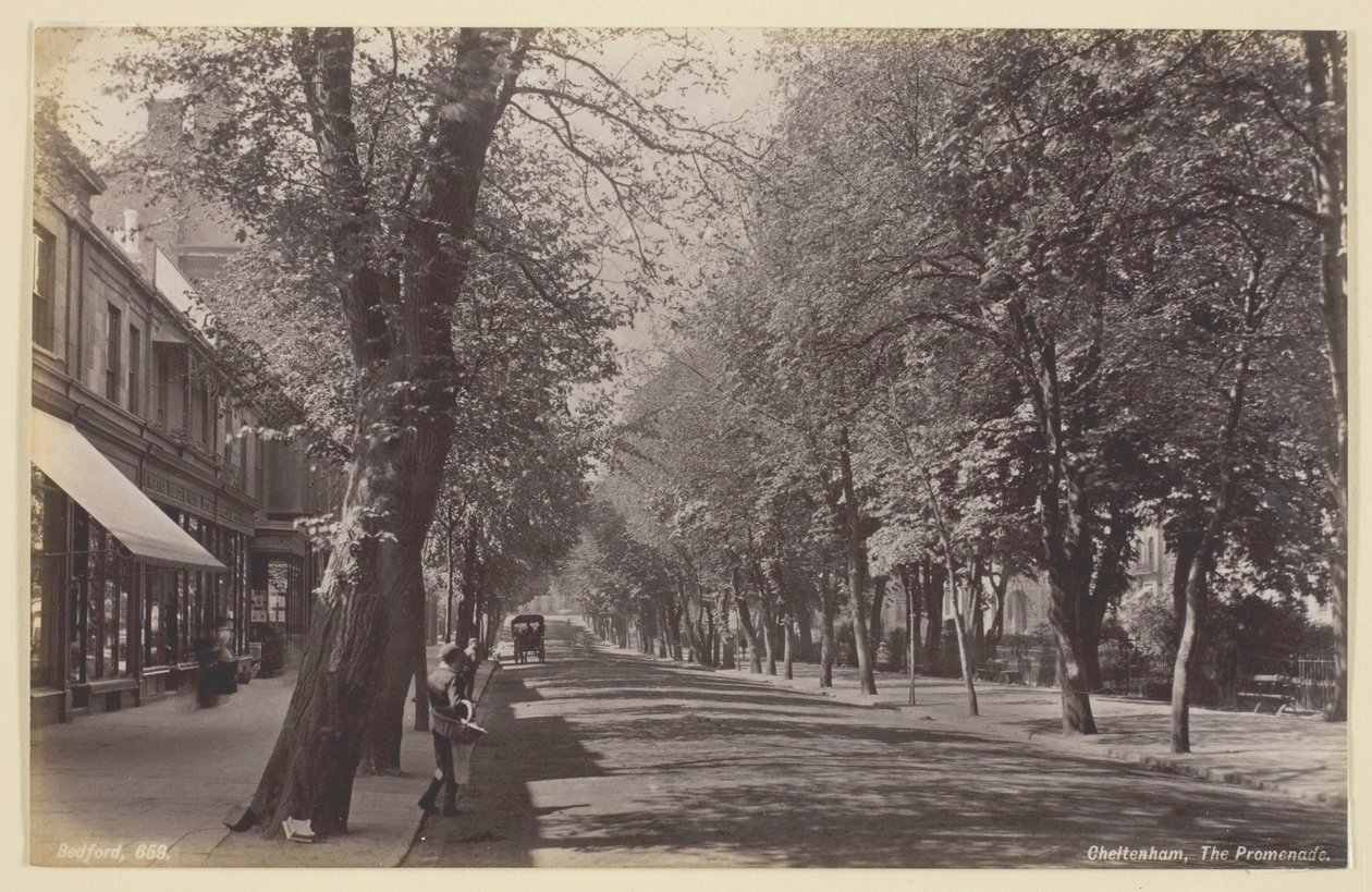 Cheltenham, il Viale da Francis Bedford