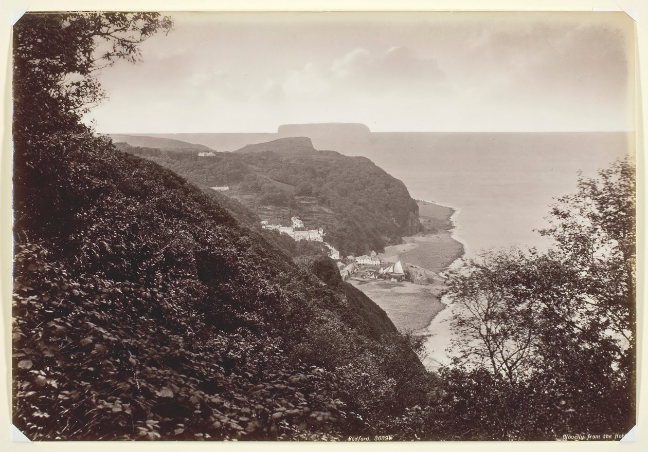 Clovelly dall