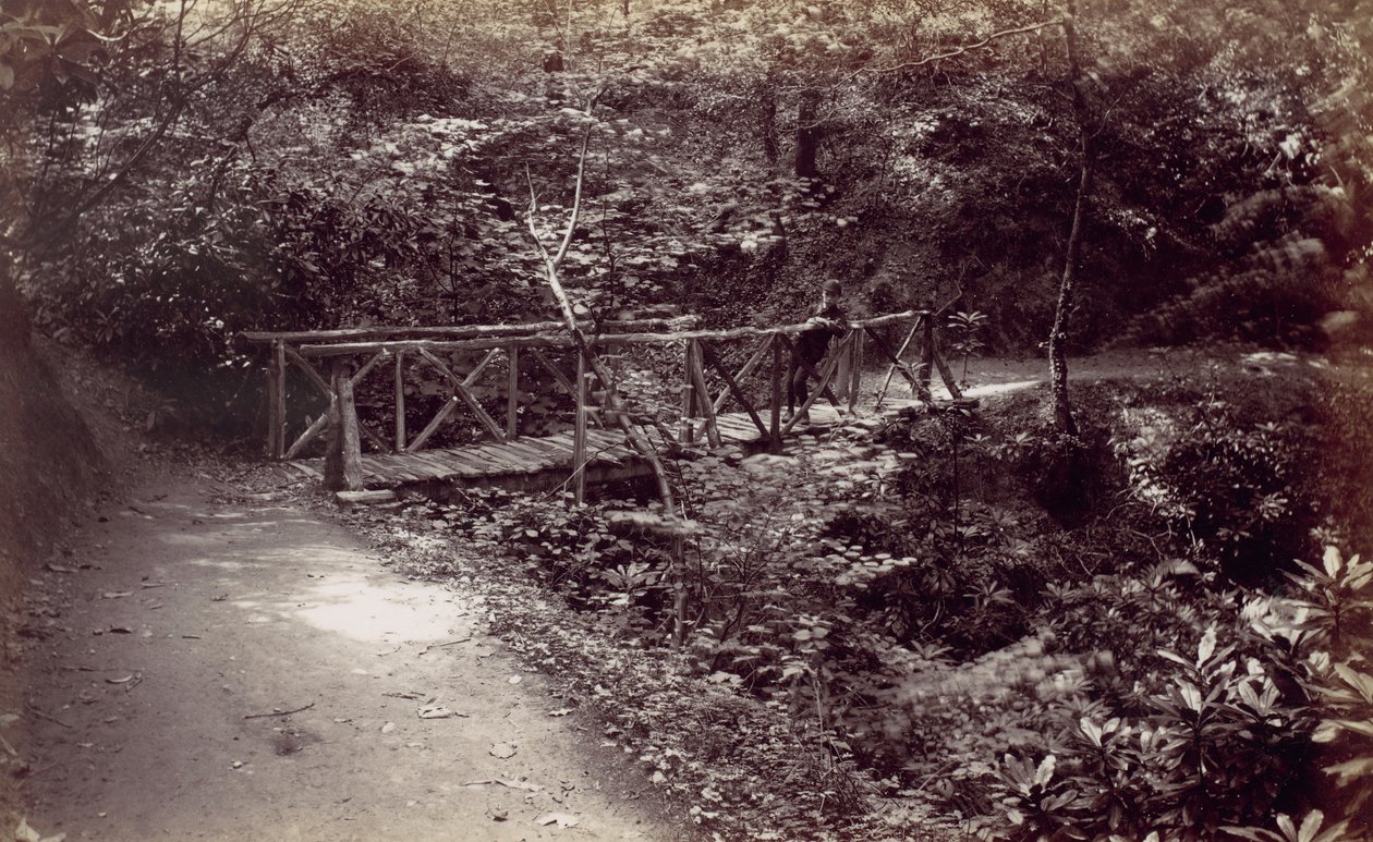 Colwyn Bay. Ponte rustico nel bosco, 1870s da Francis Bedford