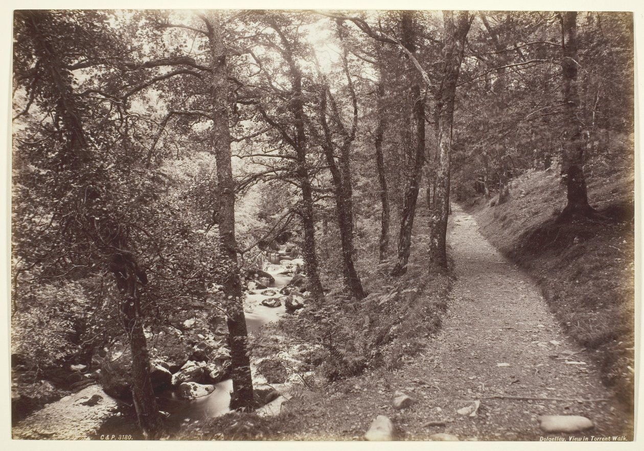 Dolgelley, veduta in Torrent Walk da Francis Bedford