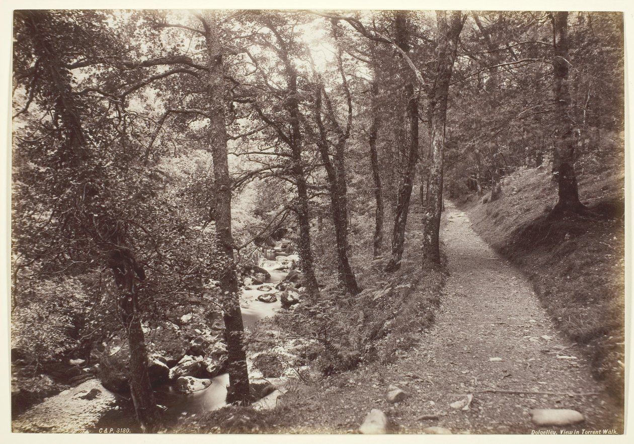 Dolgelley, vista in Torrent Walk, 1860-94 da Francis Bedford