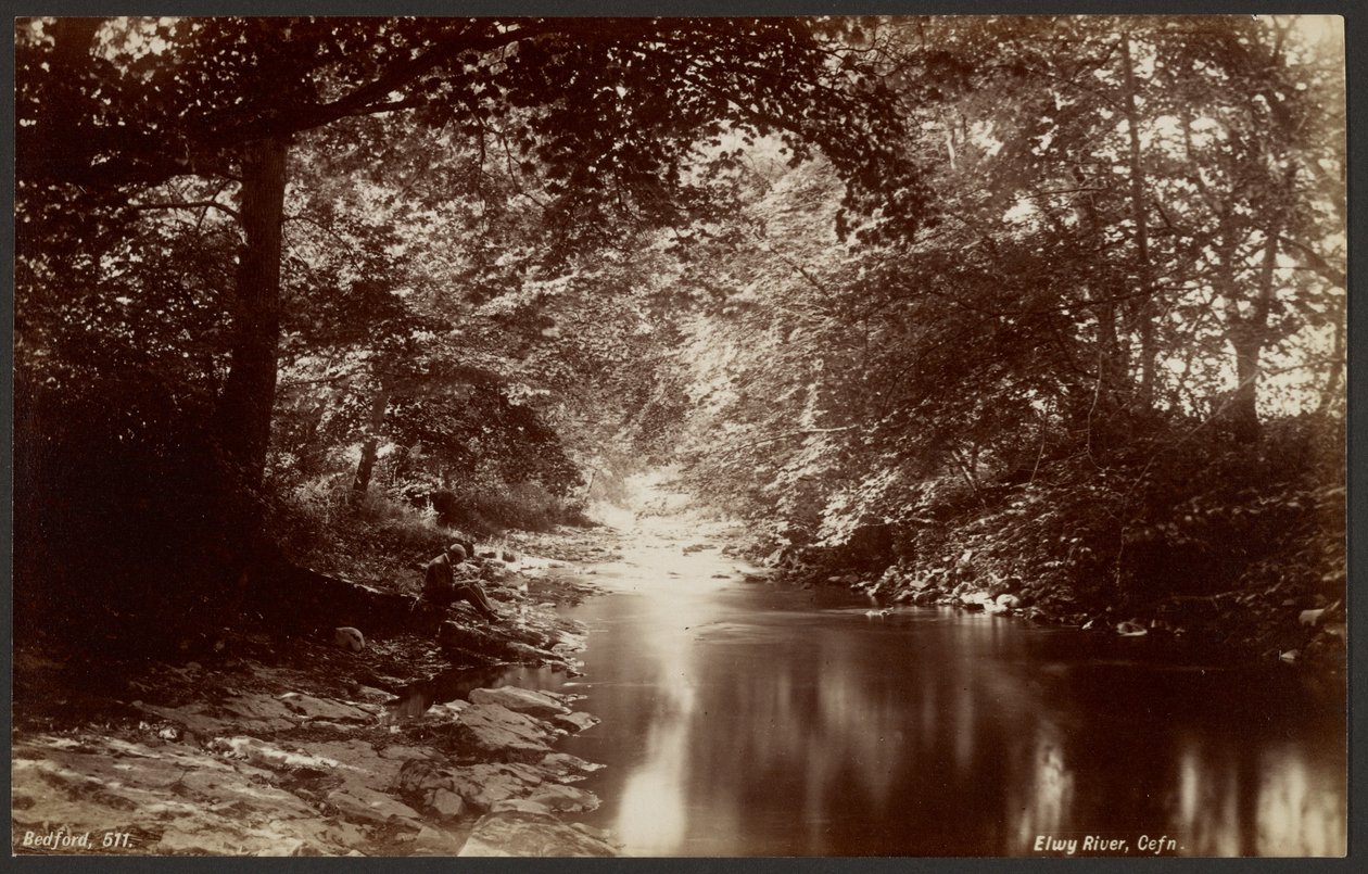 Fiume Elwy, Cefn da Francis Bedford