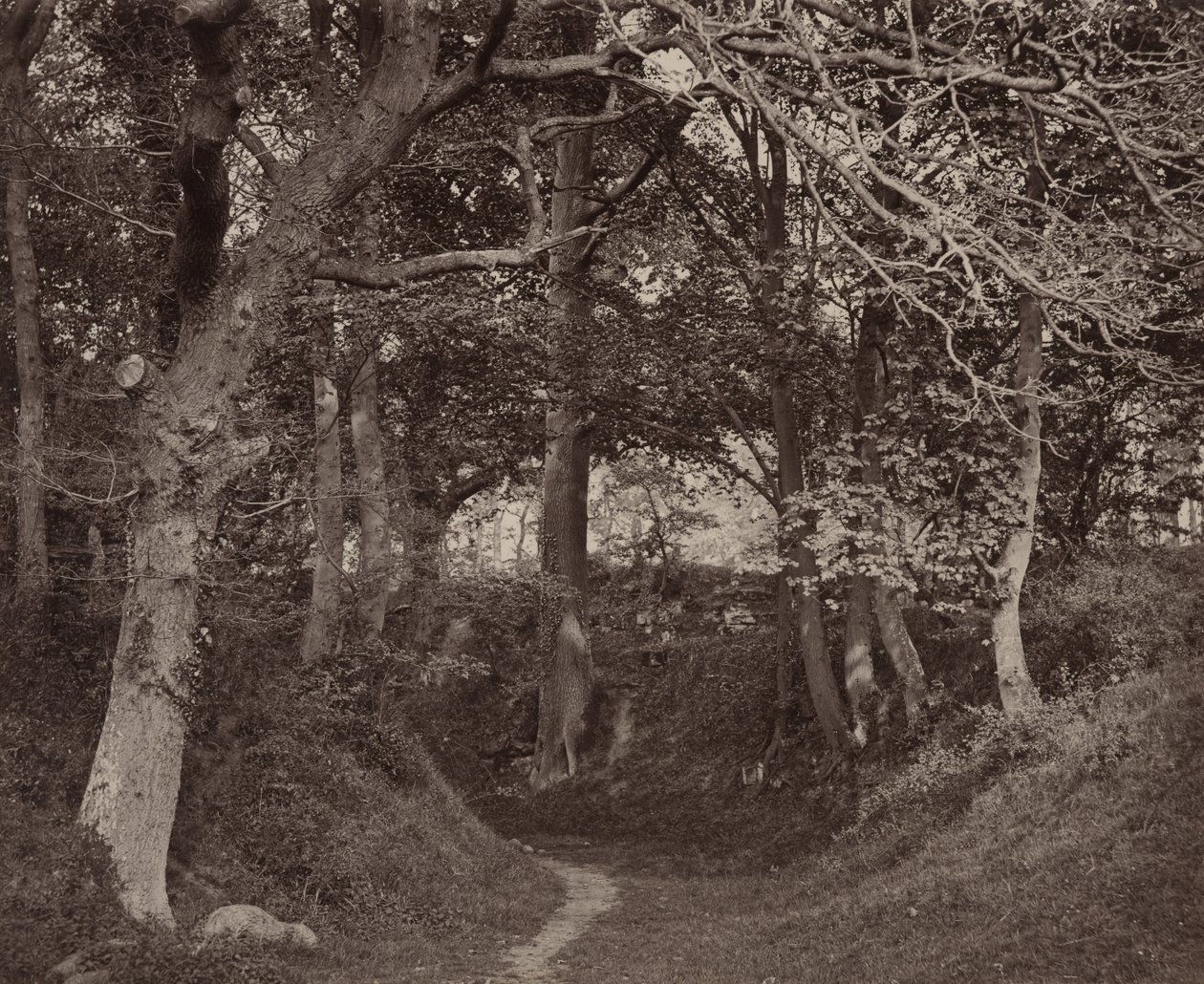 Glen Kenilworth, c. 1868 (foto) da Francis Bedford