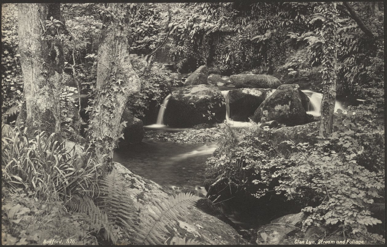 Glen Lyn, ruscello e fogliame da Francis Bedford