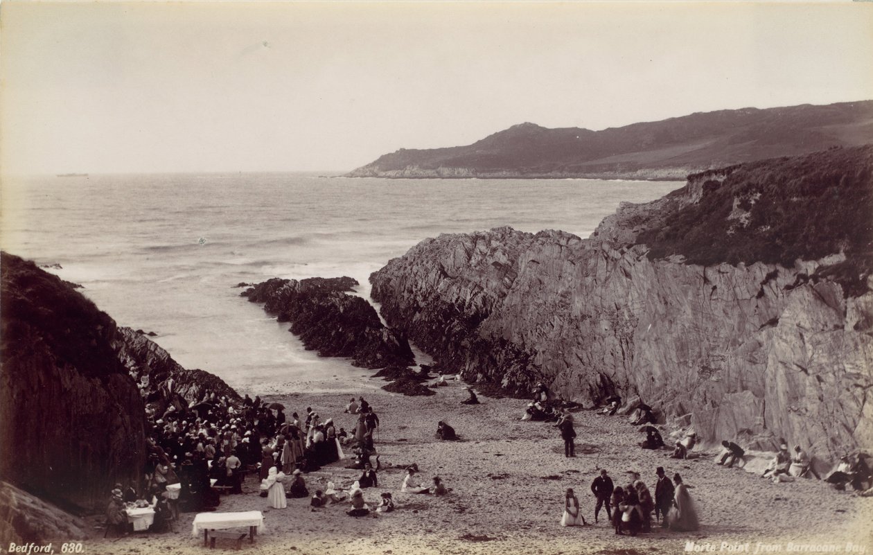 Morte Point da Barricane Bay, 1870 da Francis Bedford