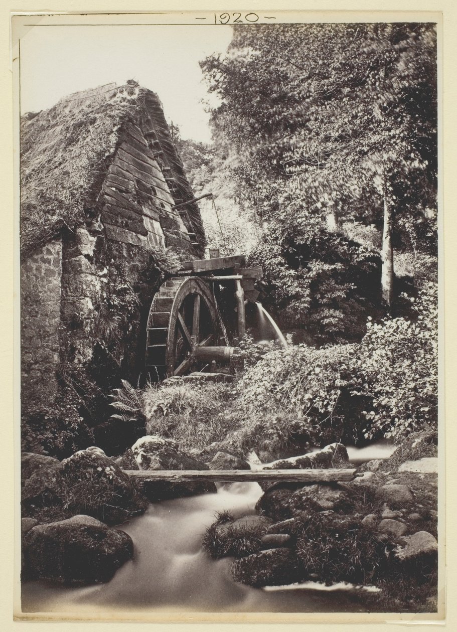 Senza titolo da Francis Bedford